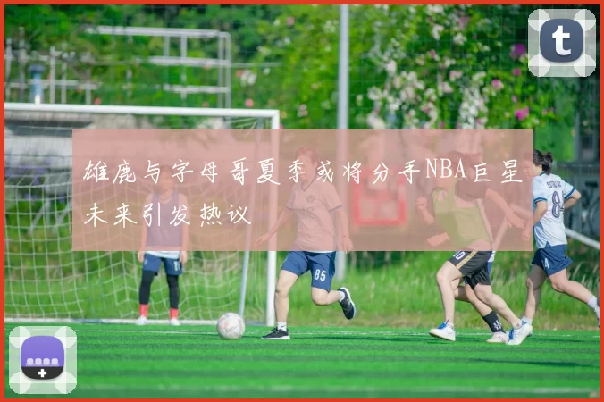 雄鹿与字母哥夏季或将分手NBA巨星未来引发热议