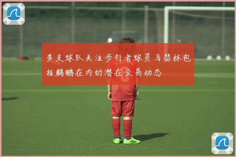 多支球队关注步行者球员马瑟林包括鹈鹕在内的潜在交易动态