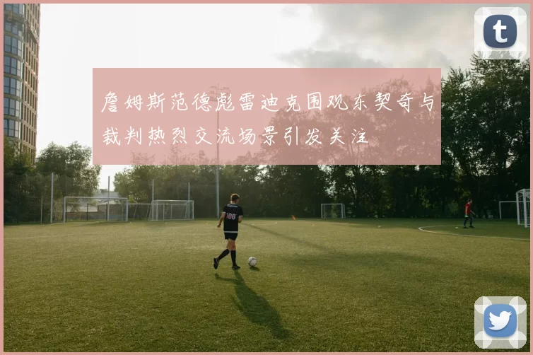 詹姆斯范德彪雷迪克围观东契奇与裁判热烈交流场景引发关注