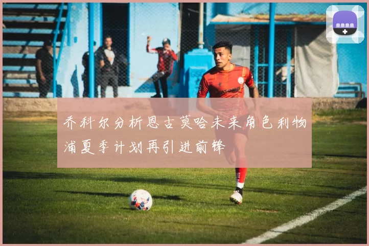 乔科尔分析恩古莫哈未来角色利物浦夏季计划再引进前锋